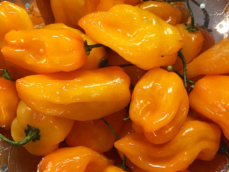 Image of spicey peppers