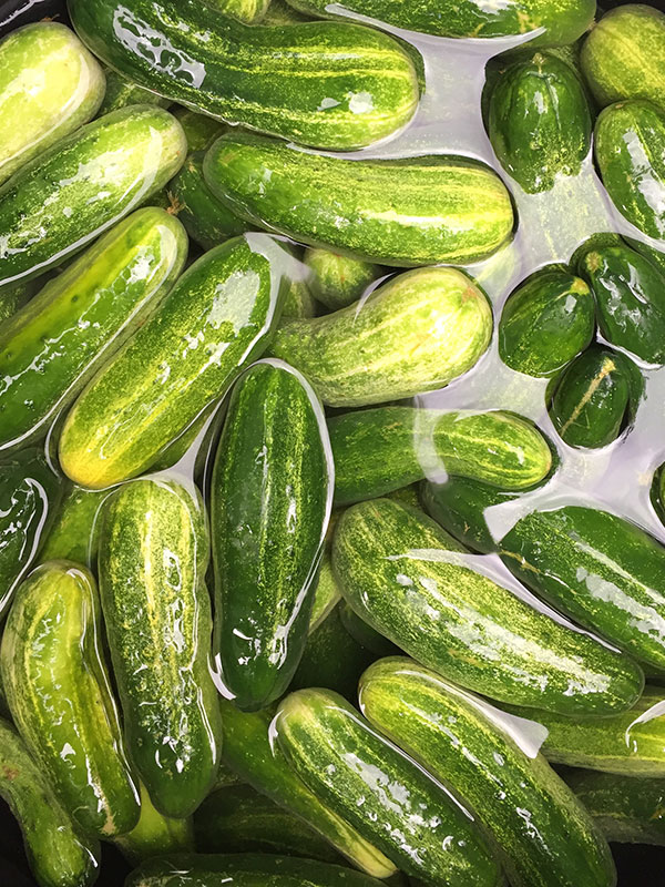 Image of pickles in brine